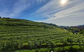 Wohnung In Der Wachau